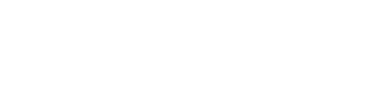 Government Logo